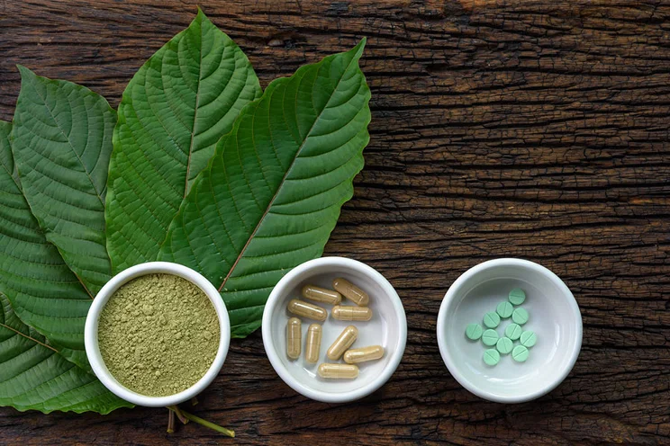 Kratom FAQ: Your Complete Guide to Common Questions